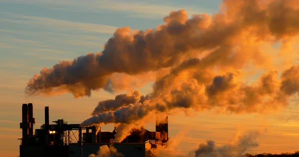 Causes of Ecosystem Damage